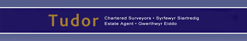 Tudor Estate Agents