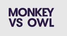 Monkey Vs Owl Limited