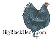 Big Black Hen